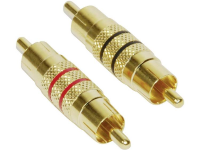 Audio Adapter [1x Cinch Stekker   1x Cinch Stekker] Goud Paccs
