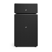 Audio Pro Drumfire II W luidspreker