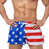 Austinbem Mens Summer Arrow Pants Fashion Casual Home Printing Shorts Swimming Beach Shorts