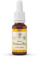 Lemon Pharma Bach NO.7 Chestnut Bud
