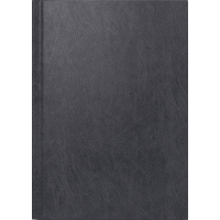 Baier & Schneider Boekkalender 640336100 1079560906 DIN A5 Kleur cover: Zwart 1 stuk(s)