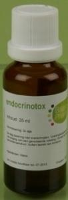 Balance Pharma Endocrinotox 010 Hypo T