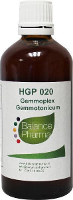 Balance Pharma Gemmoplex 020 Gemmotonicum
