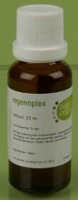 Balance Pharma Regenoplex 018 Gewrichten