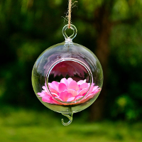 Ball Shape Hanging Glass Vase With Hook Flowerpot Garden Decor
