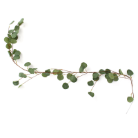 1.7M kunstmatige eucalyptus bladeren Garland Vine bruiloft groen voor thuis wanddecoraties