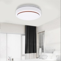12/18/24W Moderne Ronde LED Plafondlamp Thuis Slaapkamer Keuken Montage Armatuur