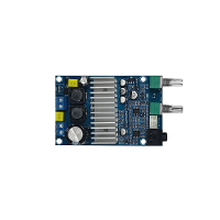 12 24V TPA3116 Subwooferversterkerkaart Ondersteunt 100W Bass output Audiomodulekaart