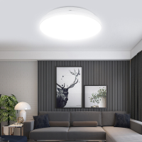 12W 18W 24W 36W AC220V LED plafondlamp SMD2835 zilveren zijde binnenlamp voor badkamer keuken woonkamer