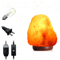 14 X 10CM Himalayan Glow Hand Gesneden Natuurlijk Kristal Zout Nacht Lamp Tafellamp Met Dimmer Switch