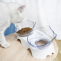 15 Graden verhoogde voerbak voor katten Kattenvoer Watervoeder Plastic gekantelde verhoogde kom voor huisdierenverzorgin