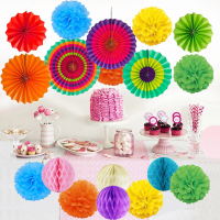 19 Stks tissuepapier pom poms bloem ballen pompom voor bruiloft thuis baby shower decoraties