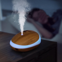 200 Ml Muisvormige Aromatherapie Luchtbevochtiger 7 Kleurrijke Lampen Laag Geluidsniveau Moleculaire Mist Technologie Lu