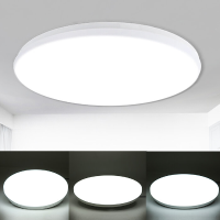 220V 12/18 / 24W Spraakbesturing Led plafondlamp Ultradunne inbouw keukenronde