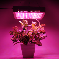 240 LEDs Plant Grow Light Veg Bloom Lamp Indoor Kas Tuin Volledig spectrum Plantengroei Licht