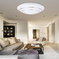 24W 1900lm LED Plafondlamp Oppervlak Montage Ronde Paneel Slaapkamer Woonkamer 85 265V