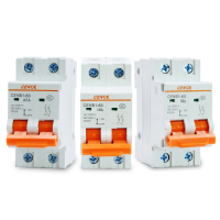 2P DC 1000V 10A 16A 25A 32A 40A 50A 63A Mini stroomonderbrekers op zonne energie MCB onderbrekers met kortsluiting en ov