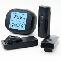 3 In 1 Draadloze Hygrometer met Dubbele Sensoren Binnen en Buiten Temperatuur Vochtigheid Meter 433Mhz 100m Bereik USB O