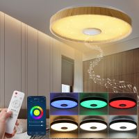38CM Plafondlamp met Bluetooth luidspreker Dimbaar Modern Slimme Thuisfeestverlichting Controleer Lichtkleur Helderheid