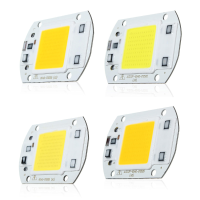 40 X 60MM 30W 2600LM Warm/White DIY COB LED Chip Bolletje Voor Overstromingslicht AC110/220V