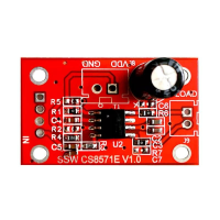 5.5 W Mono Output Filter Klasse AB Klasse D Digitale Eindversterker Board DIY Digitale Versterker Luidspreker Accessoire