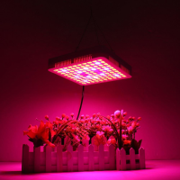65W LED kweeklamp Paneellamp Volledig spectrum Hydroponic Plant Growing Lights
