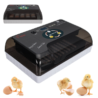 AC 110 220V 20 Eieren Broedmachine Uitbroedende Kuikens Volautomatische Pluimvee Uitbroedmachine Egg Turn