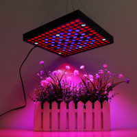 AC110 240V LED Groeilicht Volledig Spectrum Plantenlamp voor Indoor Hydroponische Groenten Bloemen