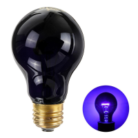 AC110V 50W 75W Warmtelicht Verwarming Infraroodlamp voor huisdieren UVA lamp voor reptielen