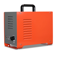 AC220V 5 g / uur draagbare ozon machine keramische buis ozonisator apparaat met timer ozon luchtverfrisser water sterili