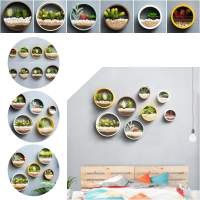 Acryl Ijzer Ronde Tuinieren Bloempot Vetplant Plantenbakken Ronde Ijzer Art Acryl Bloem Stand Opknoping Decoratieve Bloe