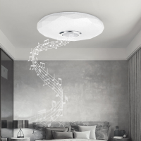 BlitzWolf® BW LT39 LED Smart Bluetooth luidspreker Plafondlamp met hoofdlicht en RGB sfeerlicht 2700 6500K Instelbare te