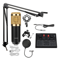 BM800 Condensator Microfoon Geluidskaart V9X PRO Mixer Live Streaming Uitzending Opname Microfoon BM800 Kit Microfoon Co