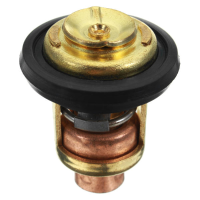 Bootmotor thermostaat 6E5 12411 02 6E5 12411 00 6E5 12411 10 voor Yamaha
