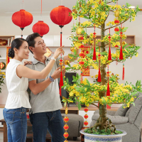Car Home koperen munt kalebas hanger Fengshui kwastje knoop Craft String opknoping ornamenten