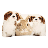 Creatieve 3D Schattig Animal Lion Papegaai Shape Kussen Kussen Soft Sofa Car Office Kussen Cadeau