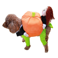 Grappige Hond Pompoen Verplaatsen Past Pet Party Festival Kleding Kleding Kostuum Winter Kleding