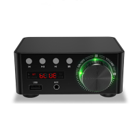 HiFi Mini Digitale Versterker Bluetooth 5.0 Versterker RCA Stereo Geluid TF Card U Disk AUX Lossless Sound Krachtige Dig