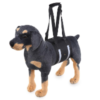 Hond Taille Harnas Gog Harnas Pet Protection Belt Nylon Sluiting Beschermende Heupgordel Sport Running Leash Honden Prod