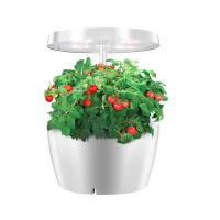 IGS 01 Kamerplanten Hydrocultuur Groeien licht Grondloze teelt Plant Groeien licht Lamp voor planten Indoor kwekerij Blo