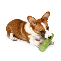 Lovely Branch Solid Molar Draagbare Pet Speelgoed Trainingshonden Props Verbeter de Intelligence Dog Toys