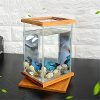Mini Aquarium LED verlichting Helderglazen Aquarium Container Office Desktop Decor!