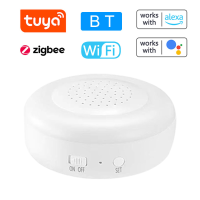 Multi Functionele Alarmgateways 2.4G WIFI 3.0 BLE en Beacon Sub apparaten Multi mode Gateways voor Spraakbesturing