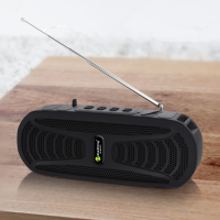 NewRixing NR B6FMT Solar bluetooth 5.0 Subwoofer Outdoor Ondersteuning TWS FM radio TF kaart HD Bass Stereo draagbare lu