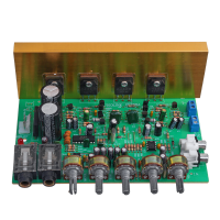 OK Amplifier 2.0 Kanaals 100W + 100W met galm High Power Amplifier Board