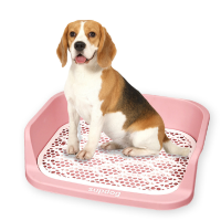 Pet Loo Portable Outdoor of Indoor Dog Toliet Alternatief voor puppypads voor kleine, middelgrote en grote honden