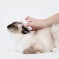 PETKIT Pet Cat Grooming Massage Apparaat Borstel van Kam Silicium met Soft Rubberen Haren Tool Ontharing Borstel Kam voo