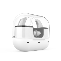 Portable Slim Rechargeable Digital In Ear Hearing Aid with Charging Case Hearing Aids for Hearing Loss