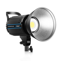 PULUZ PU3059 100W LED fotografie Constant licht Monochroom Temperatuur Live kamer Invullicht Videolicht met afstandsbedi