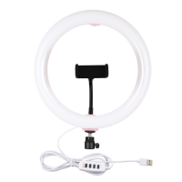 PULUZ PU456B PU456F 10 inch dimbare videolamp LED buis voor YouTube Tik Tok Live streaming